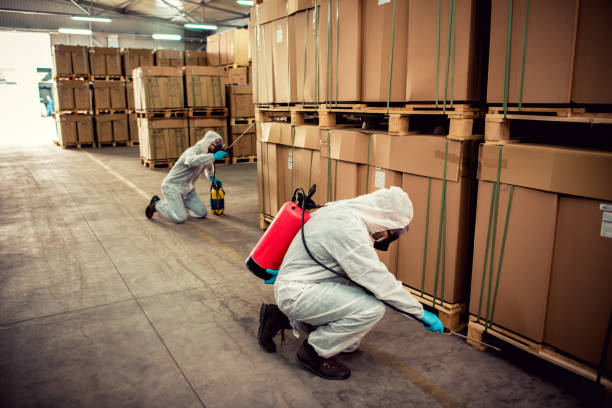 Best Bed Bug Extermination  in Wheaton, IL