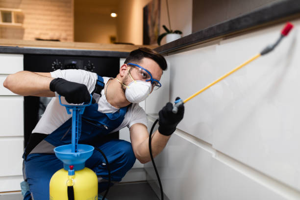 Best Flea Control Services  in Wheaton, IL