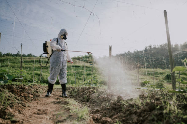 Best Mosquito Control Services  in Wheaton, IL
