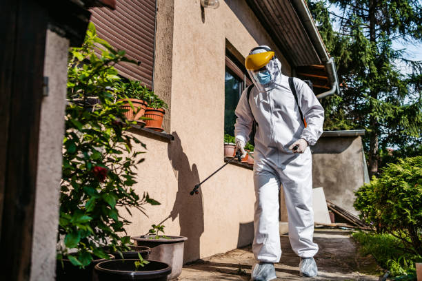 Best Termite Control Services  in Wheaton, IL