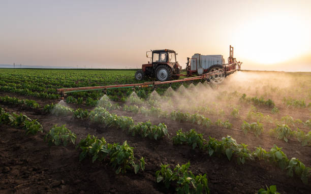 Professional Pest Control in Wheaton, IL