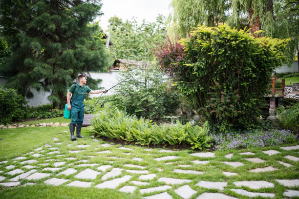 Best Bird Control  in Wheaton, IL