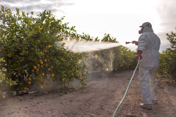 Best Exterminator Services  in Wheaton, IL