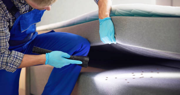 Best Pest Inspection Near Me  in Wheaton, IL
