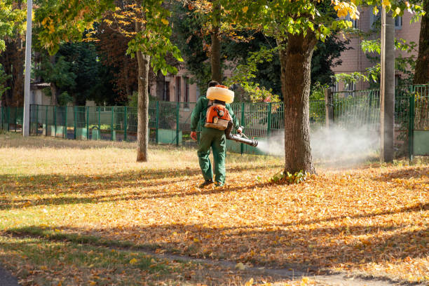 Best Flea Control Services  in Wheaton, IL