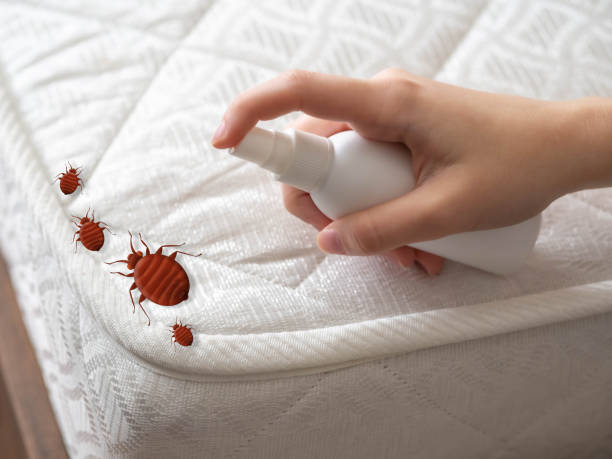 Wildlife Control Services in Wheaton, IL