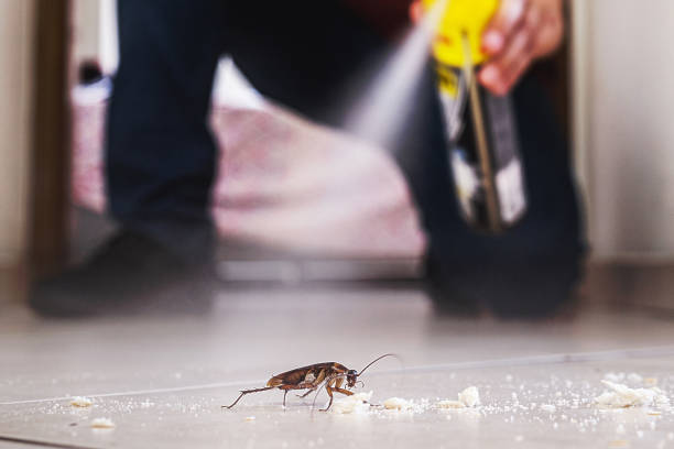 Professional Pest Control in Wheaton, IL