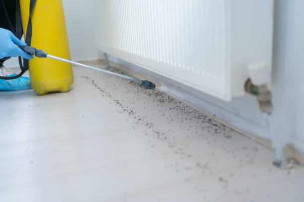 Wildlife Control Services in Wheaton, IL