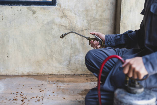 Best Best Pest Control Companies  in Wheaton, IL
