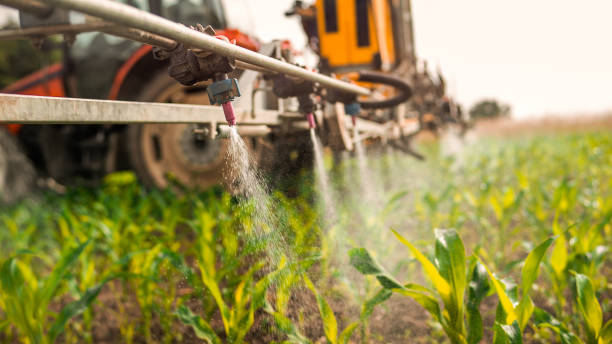 Best Insect Control  in Wheaton, IL