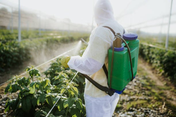 Best Emergency Pest Control  in Wheaton, IL